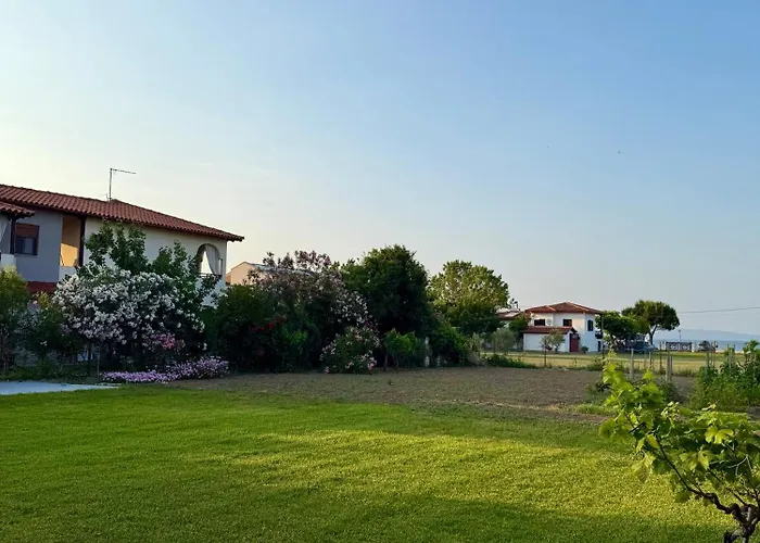 Dimitris * 奥马斯帕纳吉亚斯