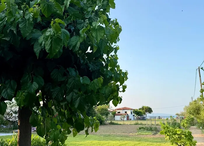 Dimitris Holiday home