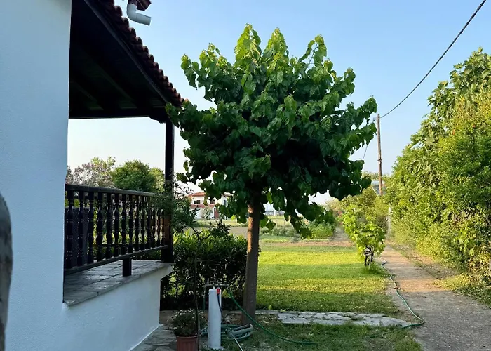 Dimitris Holiday home *